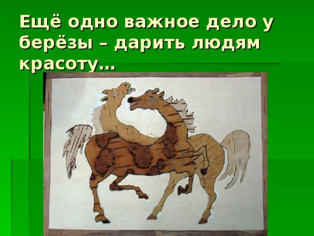 Ещё одно важное дело у берёзы – дарить людям красоту…