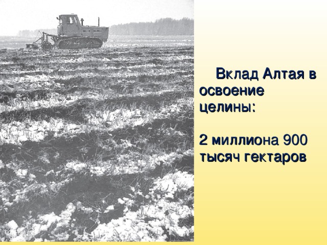 Вклад Алтая в освоение целины: 2 миллиона 900 тысяч гектаров