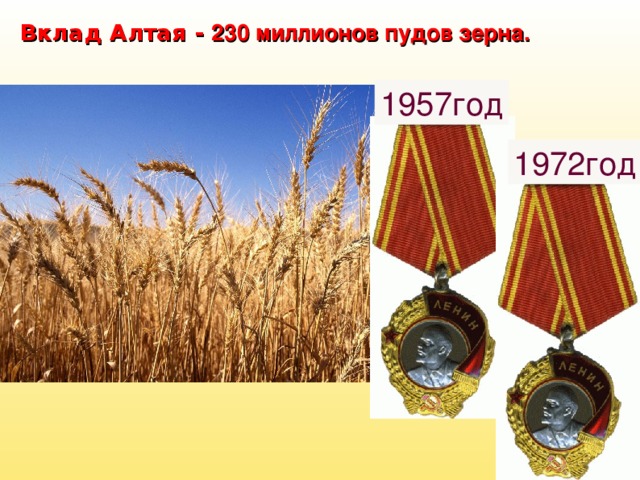 Вклад Алтая - 230 миллионов пудов зерна.  1957год 1972год