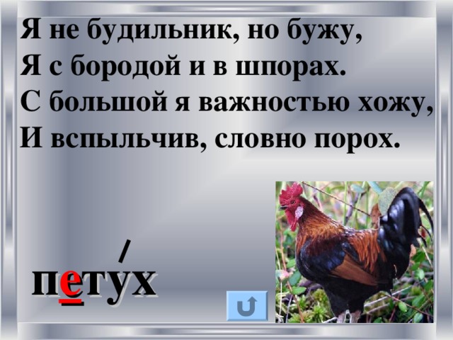 Я не будильник, но бужу, Я с бородой и в шпорах. С большой я важностью хожу, И вспыльчив, словно порох.  п е тух