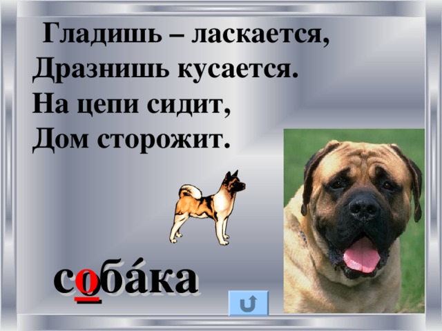 Гладишь – ласкается, Дразнишь кусается. На цепи сидит, Дом сторожит. с о б á ка