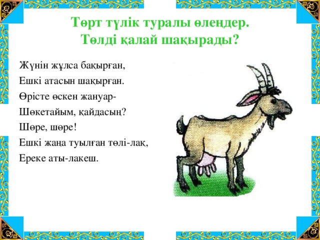 Төрт түлік туралы өлеңдер.  Төлді қалай шақырады? Жүнін жұлса бақырған, Ешкі атасын шақырған. Өрісте өскен жануар- Шөкетайым, қайдасың? Шөре, шөре! Ешкі жаңа туылған төлі-лақ, Ереке аты-лакеш.