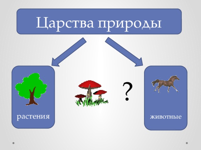 Окружающий мир 3 класс царство