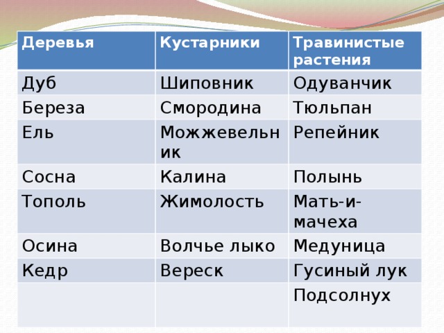 Деревья Кустарники Дуб Травинистые растения Шиповник Береза Одуванчик Смородина Ель Тюльпан Можжевельник Сосна Тополь Калина Репейник Полынь Жимолость Осина Мать-и-мачеха Волчье лыко Кедр Медуница Вереск Гусиный лук Подсолнух