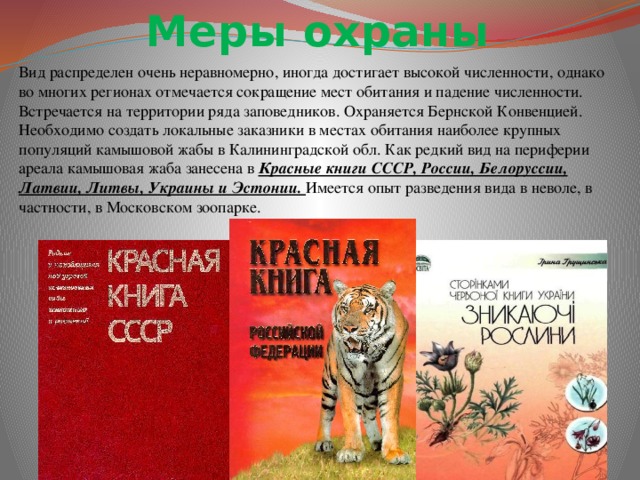 Меры охраны Вид распределен очень неравномерно, иногда достигает высокой численности, однако во многих регионах отмечается сокращение мест обитания и падение численности. Встречается на территории ряда заповедников. Охраняется Бернской Конвенцией. Необходимо создать локальные заказники в местах обитания наиболее крупных популяций камышовой жабы в Калининградской обл. Как редкий вид на периферии ареала камышовая жаба занесена в Красные книги СССР, России, Белоруссии, Латвии, Литвы, Украины и Эстонии. Имеется опыт разведения вида в неволе, в частности, в Московском зоопарке.