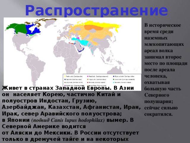 Территория распространения. Распространение млекопитающих. Распространение млекопитающих на карте. Картрта распространения мле. Ареал млекопитающих.