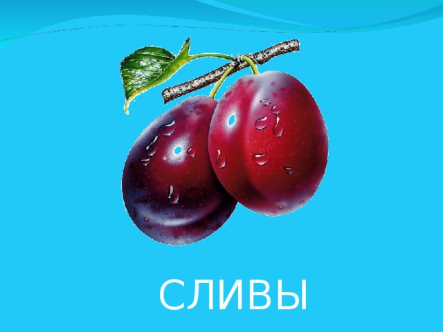 СЛИВЫ