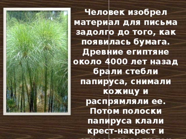 Человек изобрел материал для письма задолго до того, как появилась бумага. Древние египтяне около 4000 лет назад брали стебли папируса, снимали кожицу и распрямляли ее. Потом полоски папируса клали крест-накрест и спрессовывали так чтобы они склеивались.