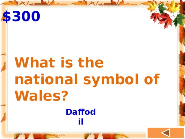 $300 What is the national symbol of Wales? Daffodil