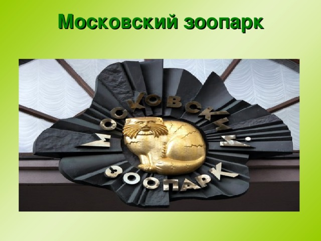 Московский зоопарк