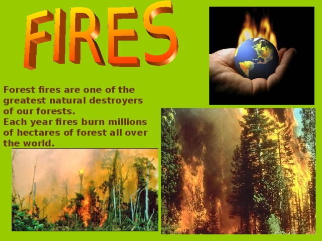 Forest fires are one of the greatest natural destroyers of our forests. Each year fires burn millions of hectares of forest all over the world.