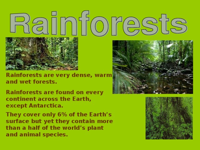 Rainforests are very dense, warm and wet forests. Rainforests are found on every continent across the Earth, except Antarctica. They cover only 6% of the Earth’s surface but yet they contain more than a half of the world’s plant and animal species.