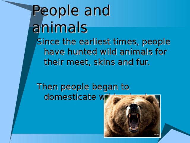 People and animals Since the earliest times, people have hunted wild animals for their meet, skins and fur. Then people began to domesticate wild animals.