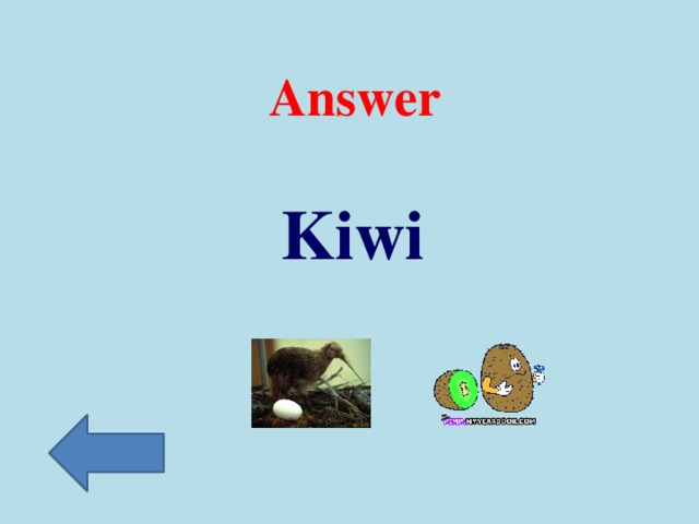 Answer Kiwi