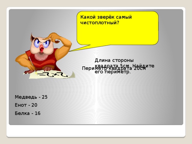 Какой зверёк самый чистоплотный? Длина стороны квадрата 5см. Найдите его периметр. Периметр квадрата 20см Медведь - 25 Енот - 20 Белка - 16