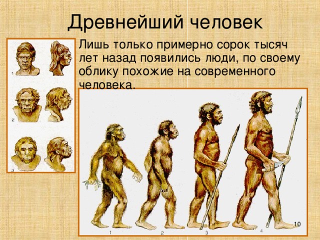Древнейший человек Лишь только примерно сорок тысяч лет назад появились люди, по своему облику похожие на современного человека.