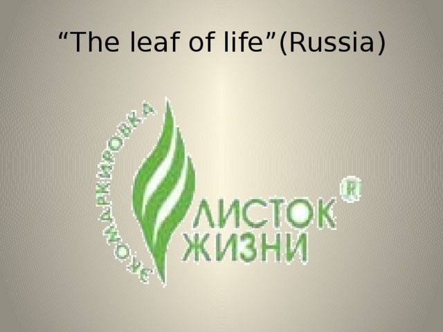 “ The leaf of life”(Russia)