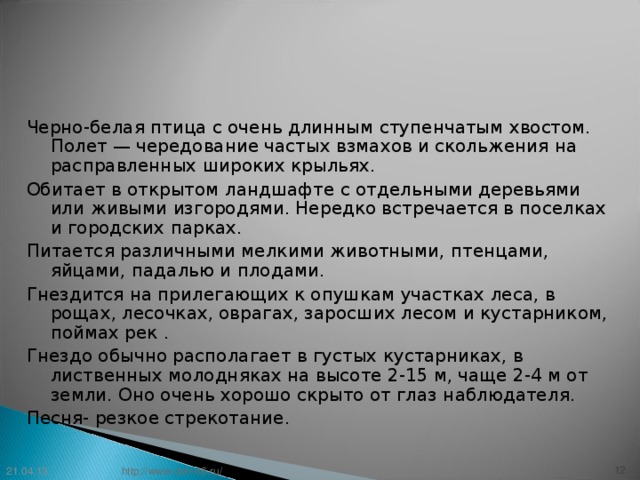 Черно-белая птица с очень длинным ступенчатым хвостом. Полет — чередование частых взмахов и скольжения на расправленных широких крыльях. Обитает в открытом ландшафте с отдельными деревьями или живыми изгородями. Нередко встречается в поселках и городских парках. Питается различными мелкими животными, птенцами, яйцами, падалью и плодами. Гнездится на прилегающих к опушкам участках леса, в рощах, лесочках, оврагах, заросших лесом и кустарником, поймах рек . Гнездо обычно располагает в густых кустарниках, в лиственных молодняках на высоте 2-15 м, чаще 2-4 м от земли. Оно очень хорошо скрыто от глаз наблюдателя. Песня- резкое стрекотание. 21.04.13 11 http://www.deti-66.ru/ 11