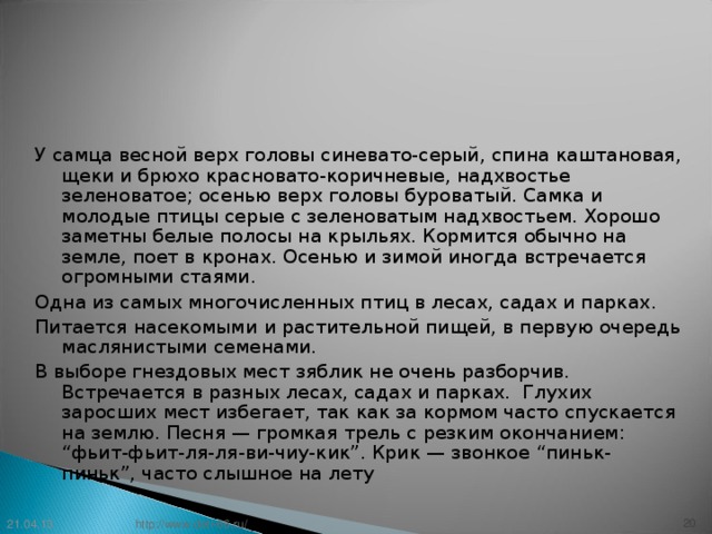 У самца весной верх головы синевато-серый, спина каштановая, щеки и брюхо красновато-коричневые, надхвостье зеленоватое; осенью верх головы буроватый. Самка и молодые птицы серые с зеленоватым надхвостьем. Хорошо заметны белые полосы на крыльях. Кормится обычно на земле, поет в кронах. Осенью и зимой иногда встречается огромными стаями. Одна из самых многочисленных птиц в лесах, садах и парках. Питается насекомыми  и растительной пищей, в первую очередь маслянистыми семенами. В выборе гнездовых мест зяблик не очень разборчив. Встречается в разных лесах, садах и парках. Глухих заросших мест избегает, так как за кормом часто спускается на землю. Песня — громкая трель с резким окончанием: “фьит-фьит-ля-ля-ви-чиу-кик”. Крик — звонкое “пиньк-пиньк”, часто слышное на лету 21.04.13 19 http://www.deti-66.ru/ 19