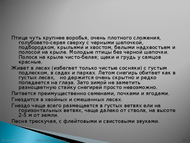 Птица чуть крупнее воробья, очень плотного сложения, голубовато-серая сверху с черными шапочкой, подбородком, крыльями и хвостом, белыми надхвостьем и полосой на крыле. Молодые птицы без черной шапочки. Полоса на крыле чисто-белая; щеки и грудь у самцов красные. Живет в лесах (избегает только чистые сосняки) с густым подлеском, в садах и парках. Летом снегирь обитает как в густых лесах, но держится очень скрытно и редко попадается на глаза. Зато зимой не заметить разноцветную стайку снегирей просто невозможно. Питается преимущественно семенами, почками и ягодами. Гнездится в хвойных и смешанных лесах. Гнездо чаще всего размещается в густых ветвях ели на горизонтальных ветвях, чаще далеко от ствола, на высоте 2-5 м от земли. Песня трескучая, с флейтовыми и свистовыми звуками. 21.04.13 23 http://www.deti-66.ru/ 23