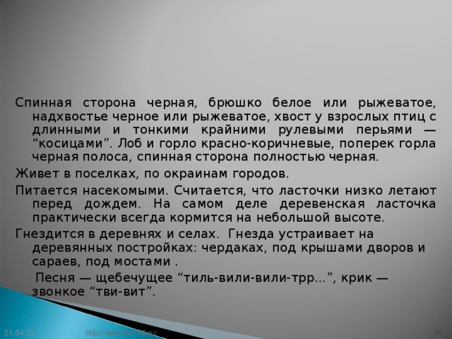 Спинная сторона черная, брюшко белое или рыжеватое, надхвостье черное или рыжеватое, хвост у взрослых птиц с длинными и тонкими крайними рулевыми перьями — “косицами”. Лоб и горло красно-коричневые, поперек горла черная полоса, спинная сторона полностью черная. Живет в поселках, по окраинам городов. Питается насекомыми. Считается, что ласточки низко летают перед дождем. На самом деле деревенская ласточка практически всегда кормится на небольшой высоте. Гнездится в деревнях и селах. Гнезда устраивает на деревянных постройках: чердаках, под крышами дворов и сараев, под мостами .    Песня — щебечущее “тиль-вили-вили-трр...”, крик — звонкое “тви-вит”. 21.04.13 33 http://www.deti-66.ru/ 33