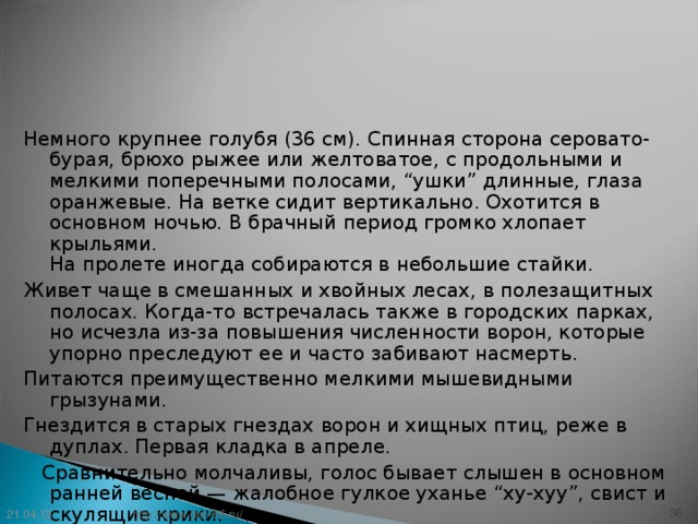 Немного крупнее голубя (36 см). Спинная сторона серовато-бурая, брюхо рыжее или желтоватое, с продольными и мелкими поперечными полосами, “ушки” длинные, глаза оранжевые. На ветке сидит вертикально. Охотится в основном ночью. В брачный период громко хлопает крыльями.  На пролете иногда собираются в небольшие стайки. Живет чаще в смешанных и хвойных лесах, в полезащитных полосах. Когда-то встречалась также в городских парках, но исчезла из-за повышения численности ворон, которые упорно преследуют ее и часто забивают насмерть. Питаются преимущественно мелкими мышевидными грызунами. Гнездится в старых гнездах ворон и хищных птиц, реже в дуплах. Первая кладка в апреле.  Сравнительно молчаливы, голос бывает слышен в основном ранней весной — жалобное гулкое уханье “ху-хуу”, свист и скулящие крики. 21.04.13 33 http://www.deti-66.ru/ 33