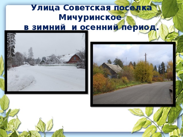 Улица Советская поселка Мичуринское  в зимний и осенний период.