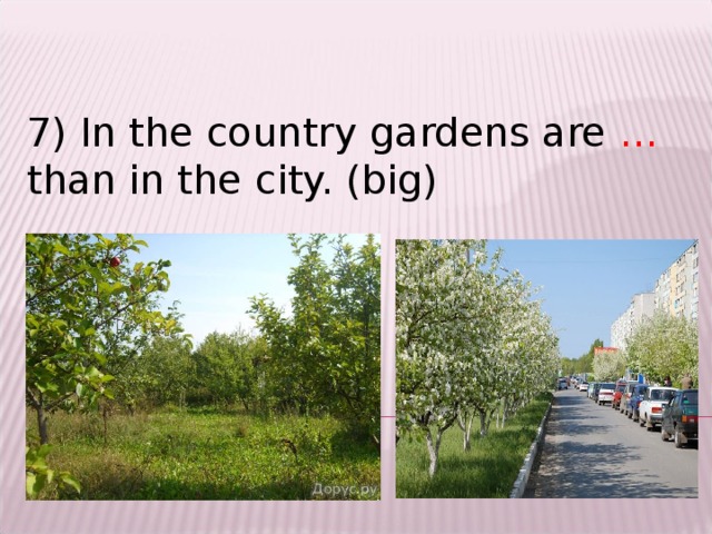 7) In the country gardens are … than in the city. (big)