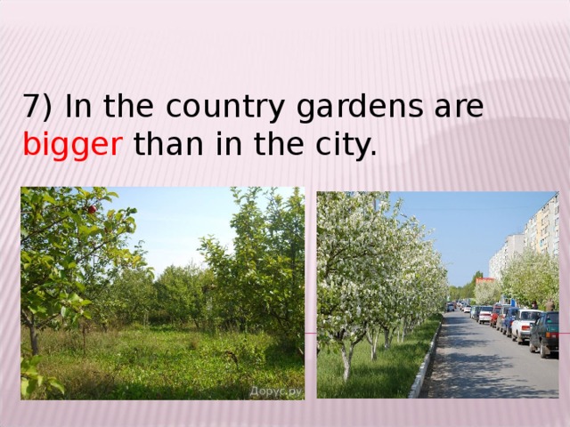 7) In the country gardens are bigger than in the city.