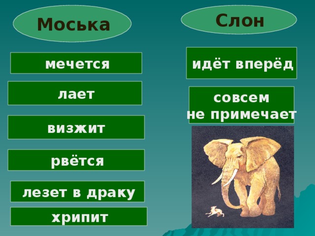 Слон  Моська  идёт вперёд  мечется  лает совсем не примечает визжит  рвётся  лезет в драку  хрипит