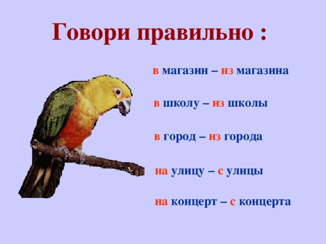 Говори правильно : в магазин – из магазина в школу – из школы в город – из города на улицу – с улицы на концерт – с концерта