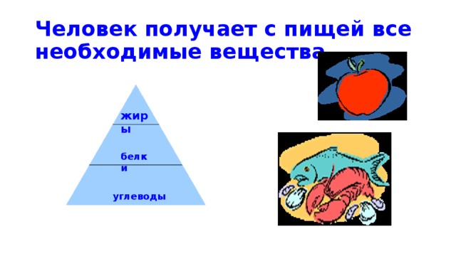 Человек получает с пищей все необходимые вещества жиры белки углеводы