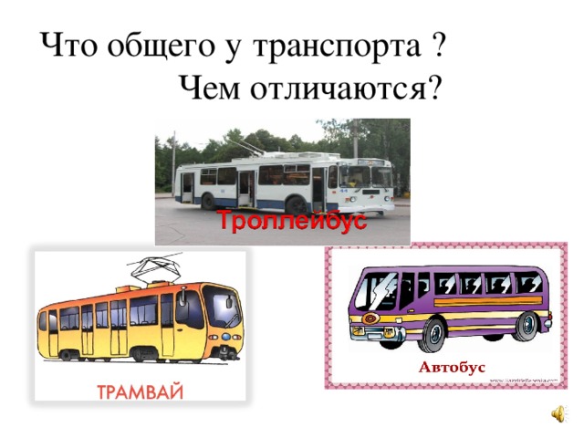 Что общего у транспорта ? Чем отличаются?