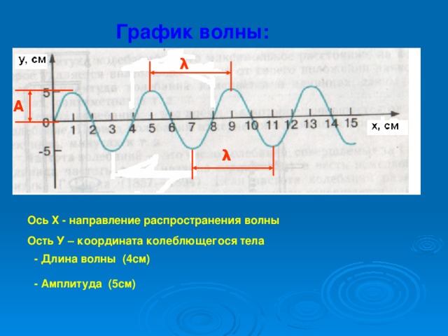 График волны: λ А А А λ λ Ось Х - направление распространения волны Ость У – координата колеблющегося тела - Длина волны (4см) - Амплитуда (5см)