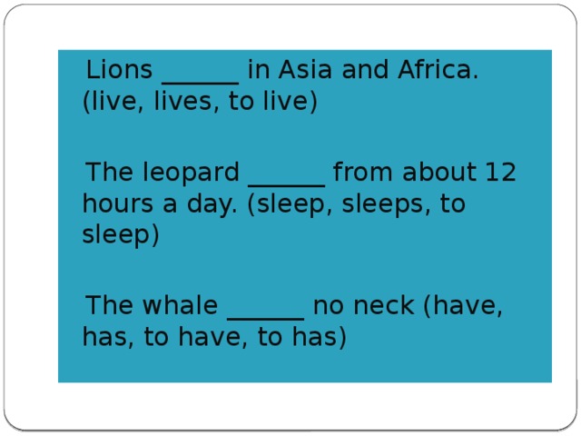 Lions ______ in Asia and Africa. (live, lives, to live) The leopard ______ from about 12 hours a day. (sleep, sleeps, to sleep) The whale ______ no neck (have, has, to have, to has)