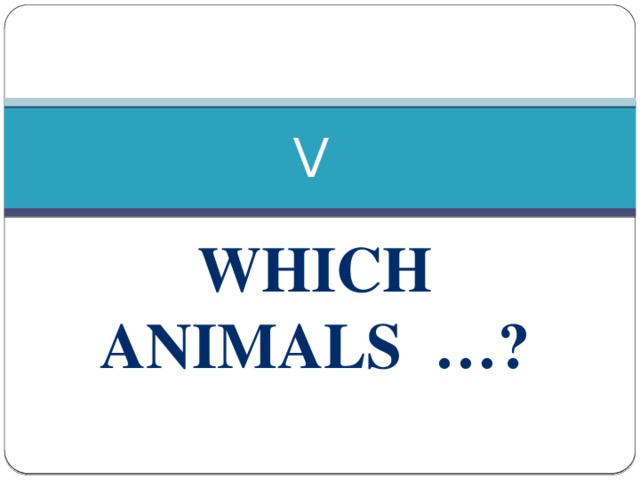 V Which animals …?