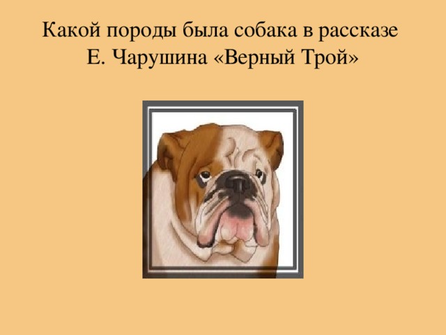 Какой породы была собака в рассказе  Е. Чарушина «Верный Трой»