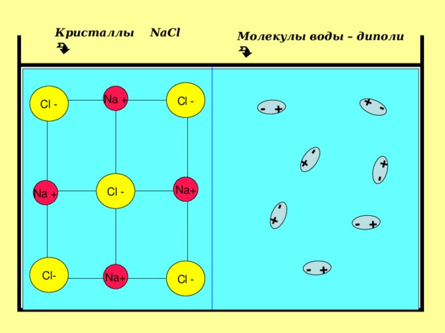 - + - + - + - + - + - + - + Кристаллы NaCl  Молекулы воды – диполи  Cl - Na + Cl - Cl - Na + Na + Cl - Cl - Na +