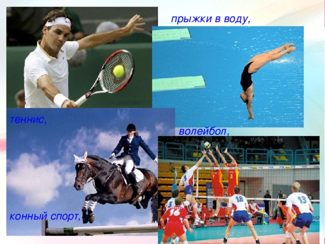 прыжки в воду, теннис, волейбол, конный спорт,