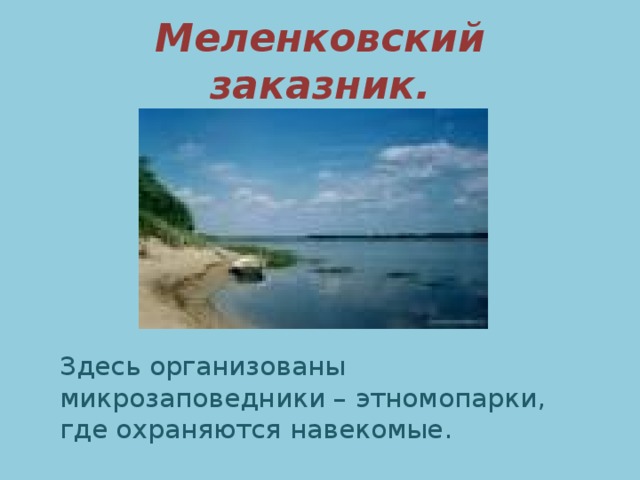 Меленковский заказник. Здесь организованы микрозаповедники – этномопарки, где охраняются навекомые.