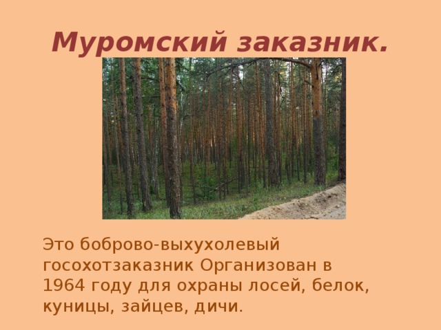 Клязьминский заказник презентация