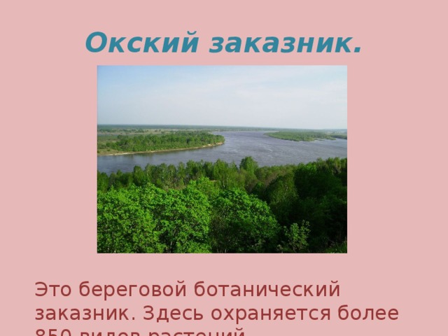 Окский заказник. Это береговой ботанический заказник. Здесь охраняется более 850 видов растений.