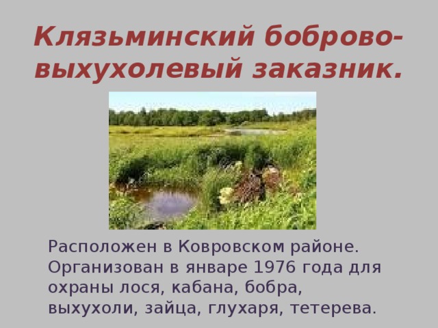 Клязьминский заказник презентация