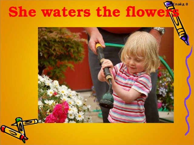 Слайд 8 She waters the flowers