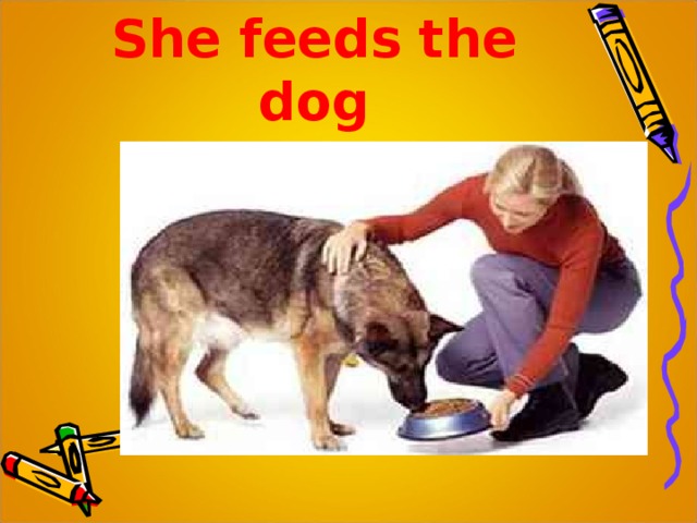 She feeds the dog