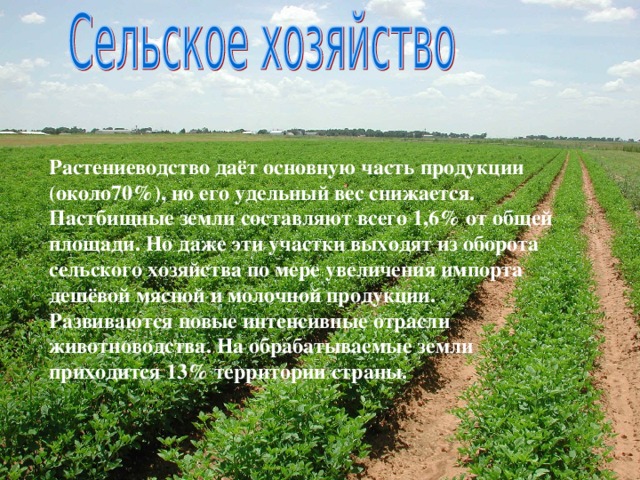 Растениеводство даёт основную часть продукции (около70%), но его удельный вес снижается. Пастбищные земли составляют всего 1,6% от общей площади. Но даже эти участки выходят из оборота сельского хозяйства по мере увеличения импорта дешёвой мясной и молочной продукции. Развиваются новые интенсивные отрасли животноводства. На обрабатываемые земли приходится 13% территории страны.