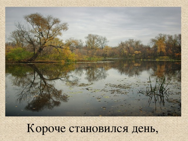 Короче становился день