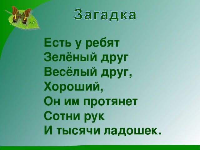 Есть у ребят Зелёный друг Весёлый друг, Хороший, Он им протянет Сотни рук И тысячи ладошек.