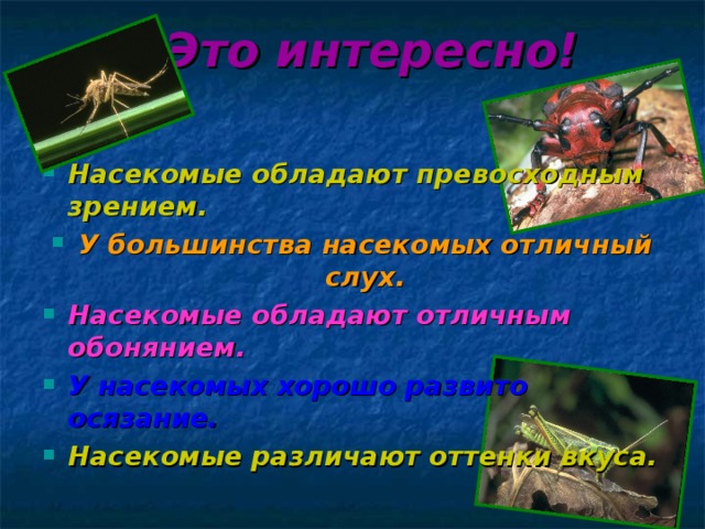 Это интересно!