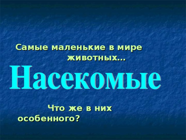 Самые маленькие в мире     животных…      Что же в них особенного?